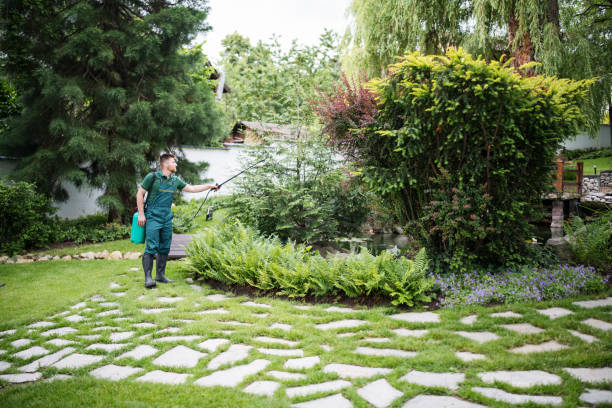 Best Wildlife Control Services  in Augusta, KY