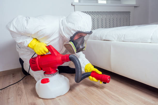 Professional Pest Control in Augusta, KY